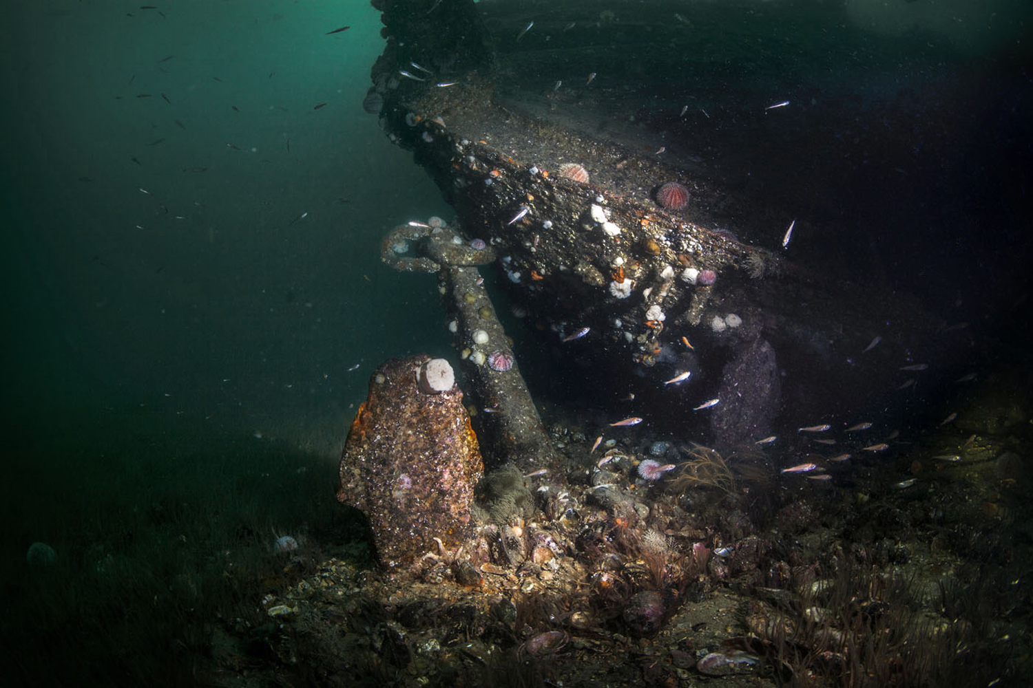 Karlsruhe stern anchor