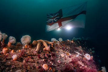 HMS Royal Oak - ensign